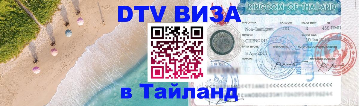 Сколько стоит DTV виза — актуальные цены, оформление даже без документов - Бердск 